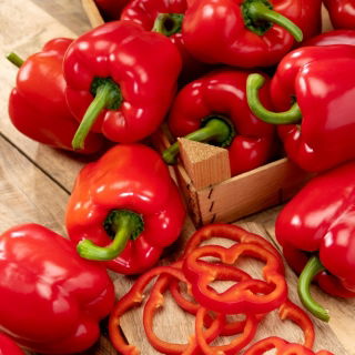 BIO Paprika - Zertifiziertes Bio-Saatgut