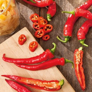 Spanskpeppar - Artist - Capsicum L. - frön