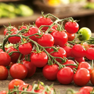 Tomate - Idyll - Tomates cocktail sucrées, pleines de saveur ! - Graines fraîches
