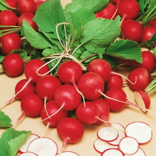 Hónapos retek - Cherry Belle - 100 g - Nagyon korai, intenzíven piros gyökerek - Friss vetőmagok