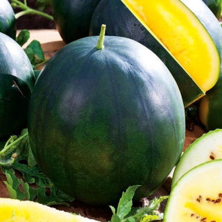 Sarı Karpuz Janosik tohumları - Citrullus lanatus - 14 tohumları
