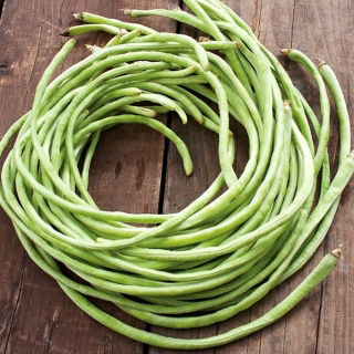 Cowpea "Splendor" - stringless pods up to 60 cm long - 60 seeds