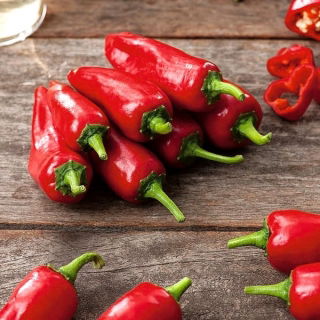Ardei Jalapeno - varietate roșie, foarte caldă - 85 de semințe - Capsicum L.