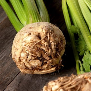 Celeriac, คื่นฉ่ายราก "Zagloba" - หลากหลายสีขาวและมีกลิ่นหอม - 1800 เมล็ด - Apium graveolens