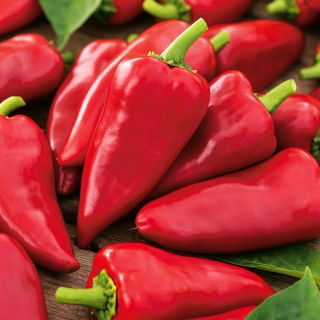 Paprika - Sakura - Édes, kúpos termés - Friss vetőmagok