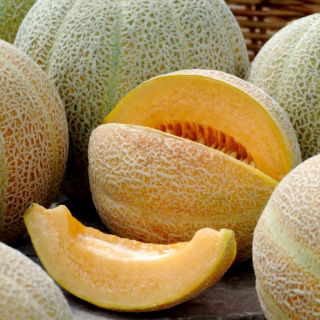 Meloen "Pineapple" - 