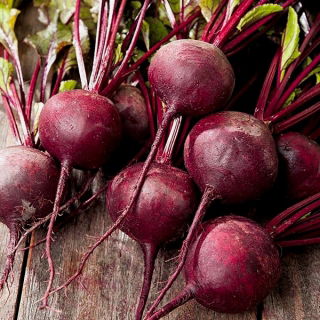 Củ cải đường "Astar" - lý tưởng cho nước ép và cô đặc - 500 hạt - Beta vulgaris