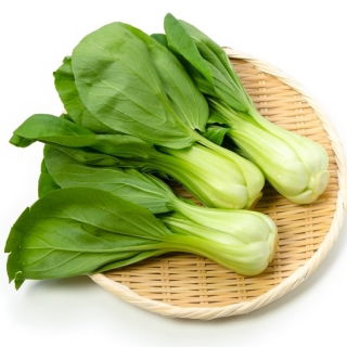Pak-Choi - Joi Choi - Krispiga, mjälla blad, utmärkt i många rätter - Färska frön