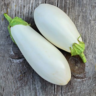Aubergine 'White Egg'; Eierfrucht