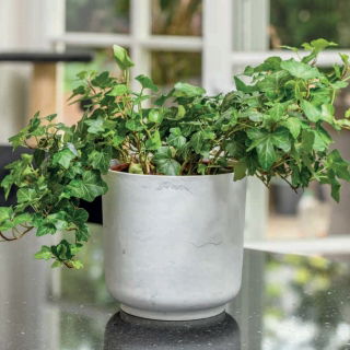 "Satina Marmur" pot casing with a marble-pattern - 13 cm - white-grey