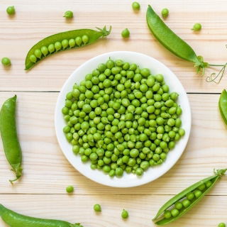Kacang gula "Uang" - varietas yang sangat awal - Pisum sativum L. saccharatum - biji
