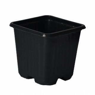 Pot de semis carré - 9 x 9 x 9 cm - 1 pces - 