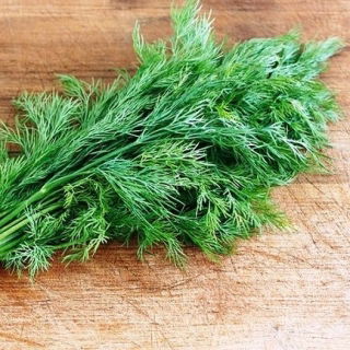 Garden dill "Lucullus" - 2800 seeds