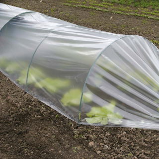 Túnel de agricultura - lámina 2 x 5 m - 