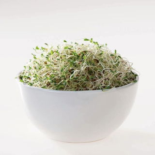 Semi BIO Sprouting - Enotera - semi biologici certificati; crema solare, sundrops - 