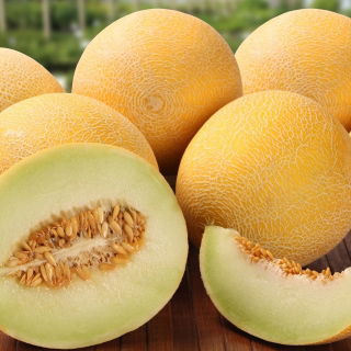 Blewah "Masala" - salah satu varietas terlezat yang tersedia di pasaran - 10 biji - Cucumis melo L.