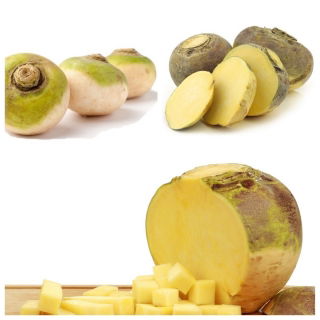 Rutabaga (rapa svedese) - set di semi di 3 varietà vegetali - 