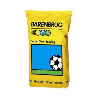 Riparazione rapida - semi di erba a rapida germinazione, adatti a basse temperature - 1 kg - 