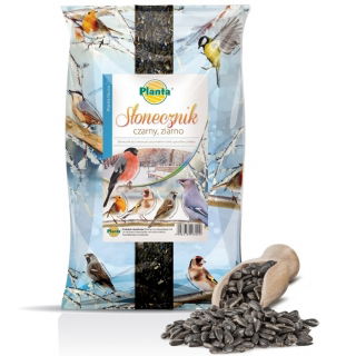 Schwarze Sonnenblumenkerne - 0,5 kg - 