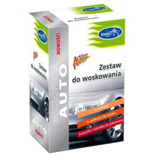 Car waxing kit