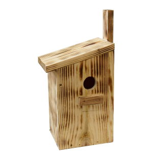 Eekhoornhuis in bomen - verkoold hout - 