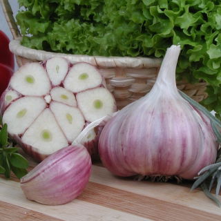 Harnas téli fokhagyma - 12 hagyma (0,72 - 1,00 kg)