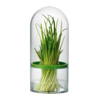 Contenitore per erbe aromatiche - SENSE - 
