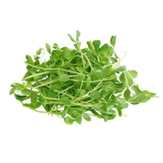 Semi germogliati BIO con il grande germogliatore - Pisello - Semi biologici certificati - 