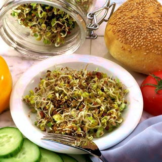 Biji berkecambah - Campuran energik - 