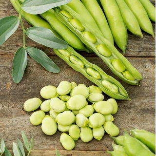 Babszem Rambos - 