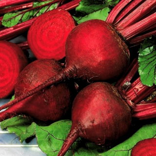 Ceryl bit merah - 