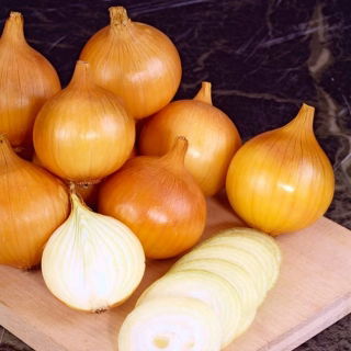 Cebolla Wola - 