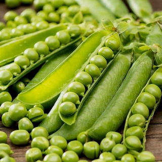 Field pea Kanon