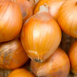 Cipolla Soplica