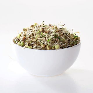 Sprouting seeds - Health and Beauty mix