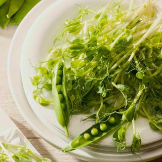 Microgreens - Sugar pea - foglie giovani dal gusto unico - 250 grammi - 