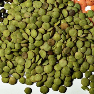 Lentil Anita - 1 กก - 