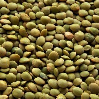 Lentil Tina - 1 kg