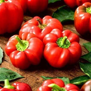 Pimiento rojo redondo en forma de tomate &quot;Olenka&quot; - 10 gramos - 