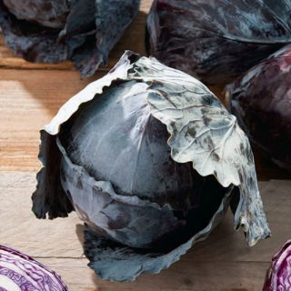 Repollo rojo Langedijker Dauer 2 - variedad tardía - 
