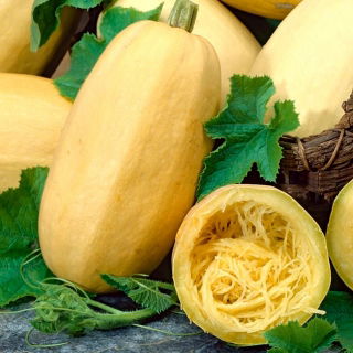 Spaghetti squash Spaghetti de legume - 