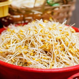 Semi che germogliano con un grande germoglio - Soia - 