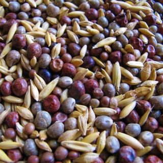 Výber strukovín a obilnín MP-4 - 1 kg - 