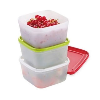 Scatole freezer salutari - PURITY - 0,5 l - 3 pz - 