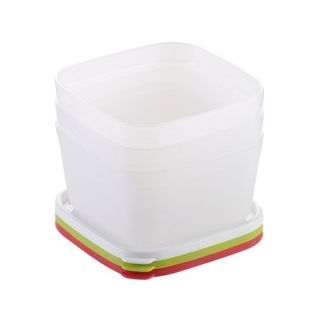 Scatole freezer salutari - PURITY - 0,5 l - 3 pz - 