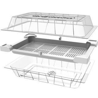 Sprouting tray - Green Mane