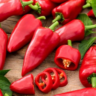 Pepper 'Beja F1' - 100 seeds - professional seeds for everyone
