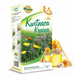 Kvetinová krajina - Medonosné rastliny - výber kvetov a bylín pripravený na zasiatie na pestovanie skutočnej kvetinovej lúky - 