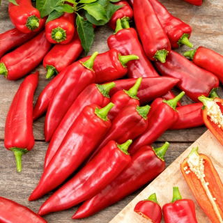 Turbo raudonoji aitrioji paprika, skirta auginti lauke - 