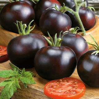 Paradicsom - Blackball - Egyedi barna-karmazsin gyümölcs salátákhoz - Friss vetőmagok